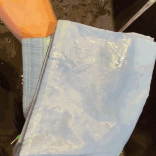 Color changing swimming shorts are activated when temerature activates the color changing crystals. This is the sea foam going from blue to sea green colors. Kameleon Swim